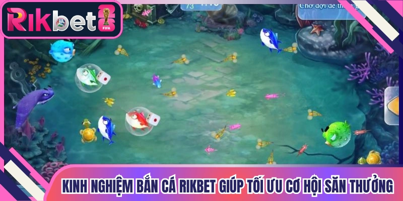 Kinh Nghiệm Bắn Cá Rikbet Giúp Tối Ưu Cơ Hội Săn Thưởng