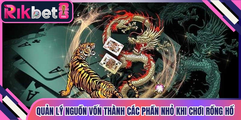 Quản lý nguồn vốn thành các phần nhỏ khi chơi rồng hổ Rikbet