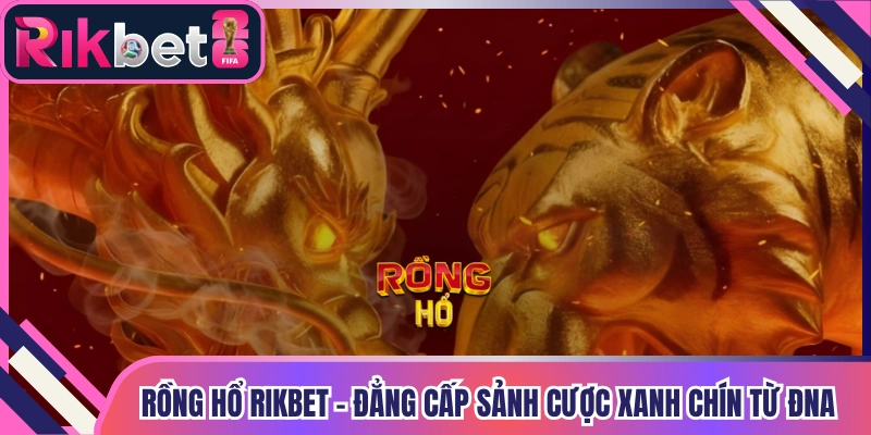 Rồng Hổ Rikbet - Đẳng Cấp Sảnh Cược Xanh Chín Từ ĐNA