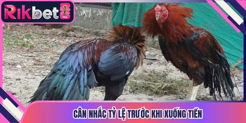 Cân nhắc tỷ lệ trước khi xuống tiền