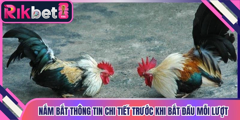 Nắm bắt thông tin chi tiết trước khi bắt đầu mỗi lượt