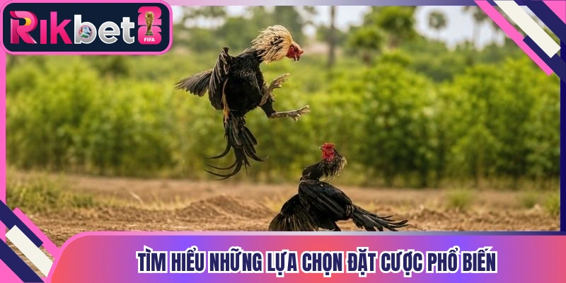 Tìm hiểu những lựa chọn đặt cược phổ biến