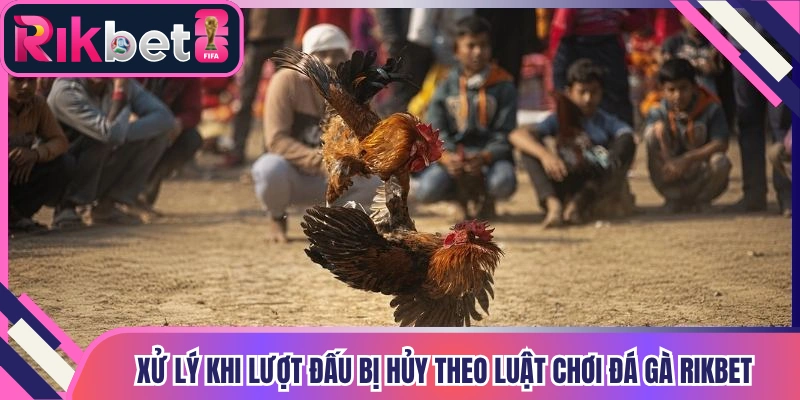 Xử lý khi lượt đấu bị hủy theo luật chơi đá gà Rikbet