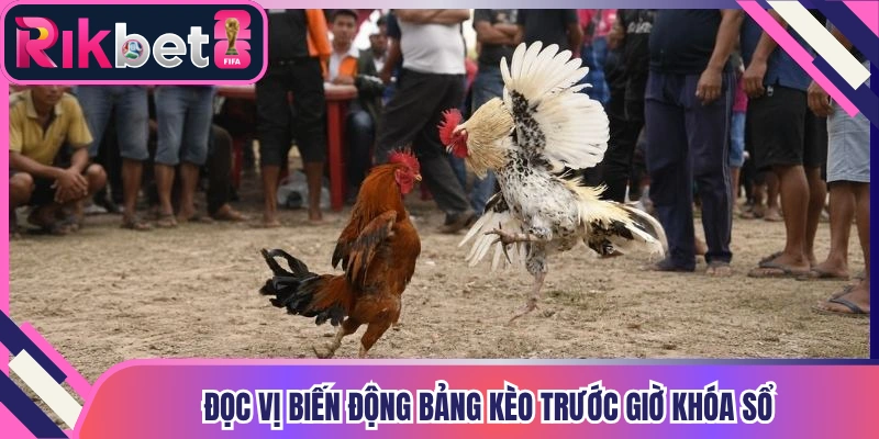 Đọc vị biến động bảng kèo trước giờ khóa sổ