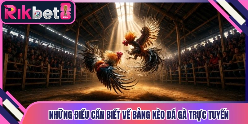 Những điều cần biết về bảng kèo đá gà trực tuyến