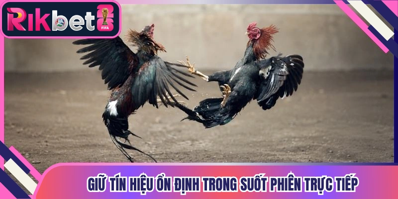 Giữ tín hiệu ổn định trong suốt phiên trực tiếp