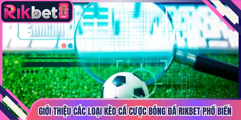 Giới thiệu các loại kèo cá cược bóng đá Rikbet phổ biến nhất